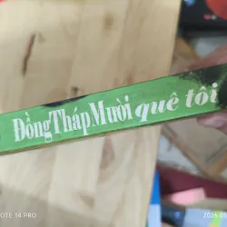Đồng tháp mười quê tôi 1040873