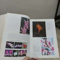 Kỹ Thuật Nuôi Trồng Phong Lan - Trần Văn Bảo 588687