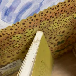 Những Ký Ức Không Chịu Ngủ Yên - Tô Hoài 720902