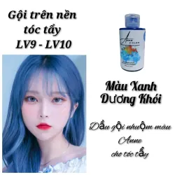 Dầu Gội Bù Màu Anne Đổi Màu Tóc Tẩy (Nền Tóc LV9) Màu Khói 761467