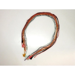 Bộ 10 dây đai - Hàng hiệu Authentic 875940