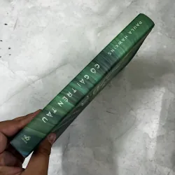 Cô gái trên tàu 1039390