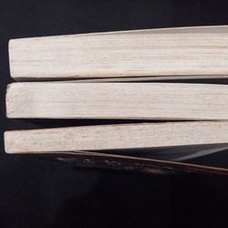 Full bộ 3 cuốn Không nơi nương tựa, Đứa trẻ lạc loài, Đi ra từ bóng tối - Dave Pelzer 166649