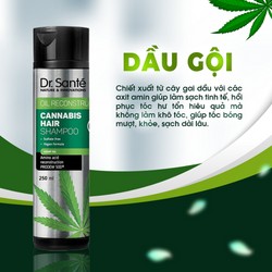 [BỘ CHĂM SÓC TÓC CHUYÊN SÂU – PHỤC HỒI HƯ TỔN] Cannabis Hair [CAM KẾT SẢN PHẨM CHÍNH HÃNG] 77407