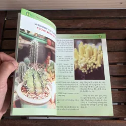 II Cây Cảnh: Xương Rồng Và Cây Mọng Nước (Sách Màu) - Dương Ngọc Hiệp 718583