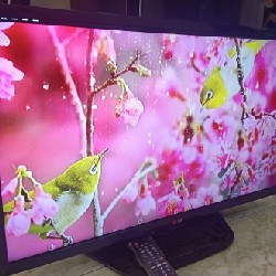 LED LG 32" PHỤ KIỆN ĐẦY ĐỦ VIỀN MỎNG SIÊU RẺ