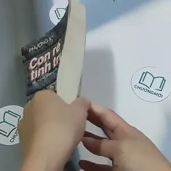 Con rể tỉnh trưởng - Phương Vỹ 695009