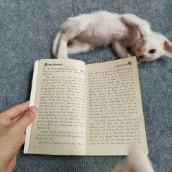 MƯA BÓNG MÂY - KHÁNH CHI 567812