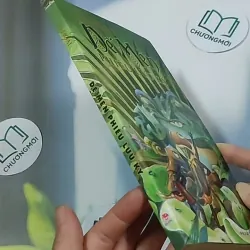 Dế Mèn phiêu lưu ký 698592