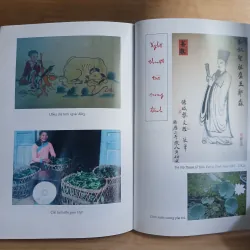 Văn Minh Trà Việt - Trịnh Quang Dũng 565239