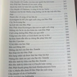 Đại Phật Sử - Tập 5 801034