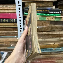 Papillons♟️ 927607