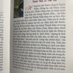 Suy niệm từng ngày với Đức Giáo Hoàng Bênêđíctô - bìa cứng 732997