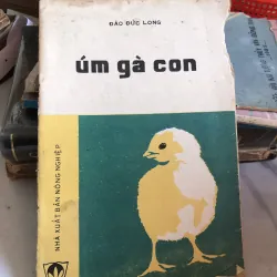 Úm gà con - Đào Đức Long