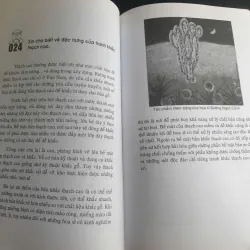 Mỹ Thuật Ở Sài Gòn Thành Phố Hồ Chí Minh 719029