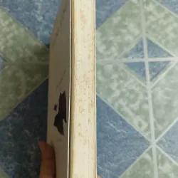 Chị tại con chích chòe - Dương Tường 564404