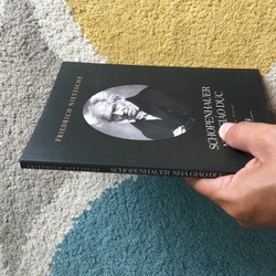 Schopenhauer Nhà Giáo Dục - Friedrich Nietzsche 139698