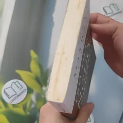 Trở Thành Người Ảnh Hưởng - John C. Maxwell & Jim Dornan 961209