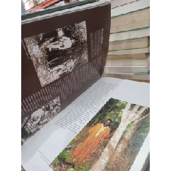 Portrait of the Global Rubber Industry - IRRDB 934181