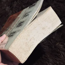 Gia đình Budden Brook 997967