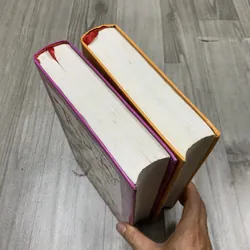 Tây du ký. Bộ 2 tập. Có 204 hình minh hoạ. 2b5 689203