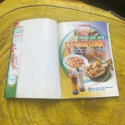 KỸ THUẬT CHẾ BIẾN CÁC MÓN TRỘN & NƯỚC RAU QUẢ 785229