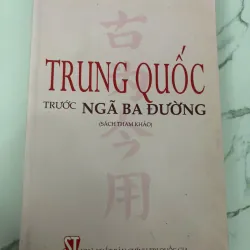 TRUNG QUỐC TRƯỚC NGÃ BA ĐƯỜNG - Peter Nolan - Kinh tế / Chính trị quốc tế