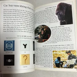 Vượn Gorila - Tủ sách kiến thức thế hệ mới 784804