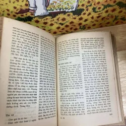 Từ Điển Thuật Ngữ Văn Học 958162