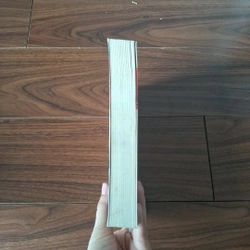 Nam cực tinh 508681