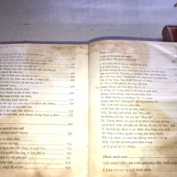 Phép màu nhiệm của giới mày râu 778519