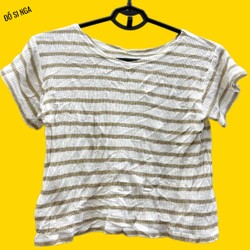 ÁO THUN COTTON ( Croptop ) KIỂU JAPAN 142270