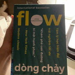 Sách tâm lý học tích cực Flow-tác giả Mihaly Csikszentmihalyi, sách còn như mới
