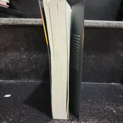 Bông hồng vàng và bình minh mưa 1006060