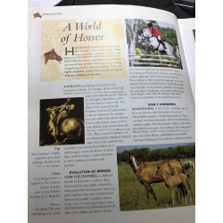 The Encyclopedia of Horses and Ponies MỚI 80% tróc góc bìa HPB2607 NGOẠI VĂN 191146