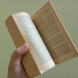 A ripple from the storm, sách ngoại văn tiếng Anh english book tiểu thuyết  707876