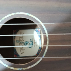 Ukulele Concert Andrew Cẩm Ấn M81G đầy đủ phụ kiện 546251