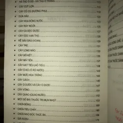 Thuốc quý vườn nhà bạn - Chữa bệnh bằng cây thuốc nam - Mai Hoa 936884