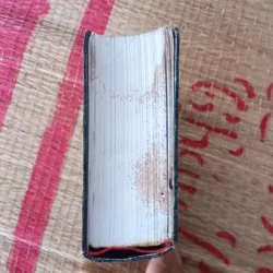 Thực Trạng Châu Au  1029989