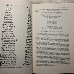 Seeing Through Words: The Scope of Late Renaissance Poetry 783237