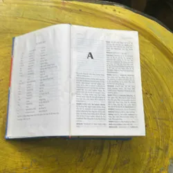 COMBO TỪ ĐIỂN ANH - VIỆT & TỪ ĐIỂN VIỆT - ANH - BÙI PHỤNG 695756