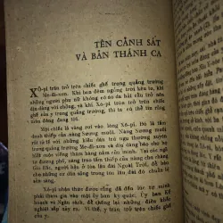 Hoa dại     975933