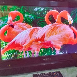 [Tivi 24 inch - Kèm phụ kiện đầy đủ] Thanh lý 17422