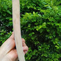 Món ngon và gia vị cảm xúc tùy bút của Tràn Tiến Dũng  990546