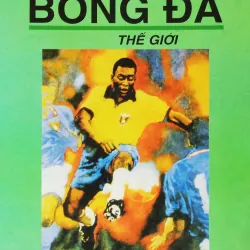 Bóng đá thế giới