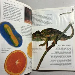 Hoá học - Tủ sách kiến thức thế hệ mới (bìa cứng) 800279