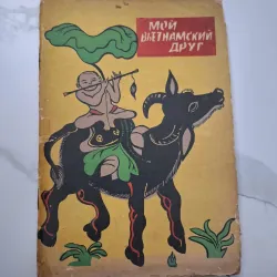 Мой Вьетнамский Друг (Người Bạn Việt Nam Của Tôi)