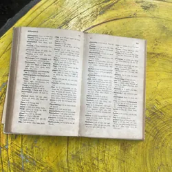 WORTERBUCH DEUTSCH VIETNAMESISCH 697927