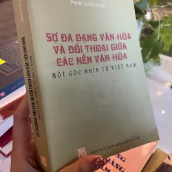 SỰ ĐA DẠNG VĂN HOÁ VÀ ĐỐI THOẠI GIỮA CÁC NỀN VĂN HOÁ MỘT GÓC NHÌN TỪ VIỆT NAM 