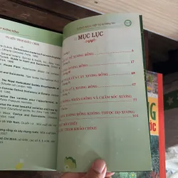 II Cây Cảnh: Xương Rồng Và Cây Mọng Nước (Sách Màu) - Dương Ngọc Hiệp 718583